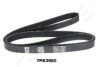 ASHIKA 112-7PK2080 V-Ribbed Belts
